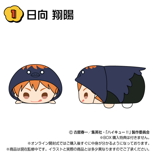 日向 翔陽の画像