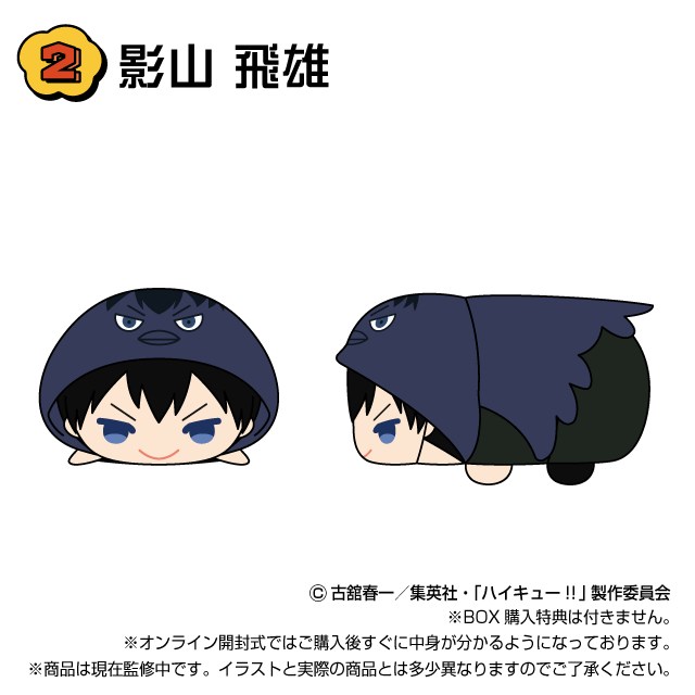 影山 飛雄の画像