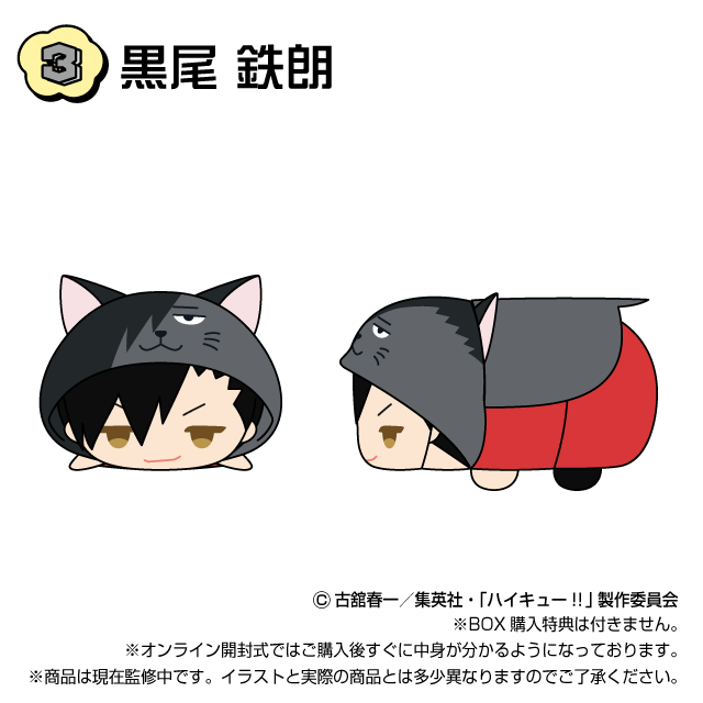 黒尾 鉄朗の画像